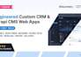 develop custom crm erp software and strapi cms web app